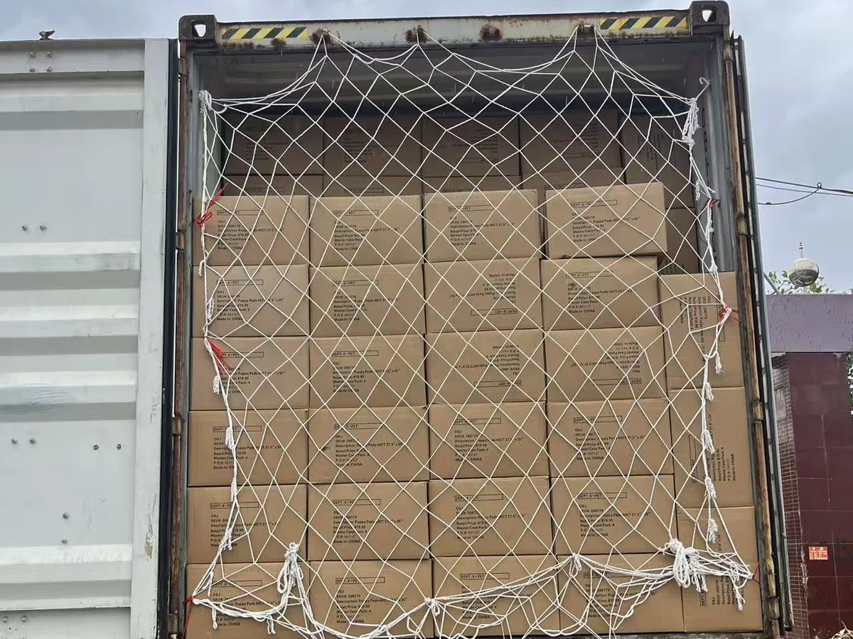 Container load of cartons covered with a protective cargo net.