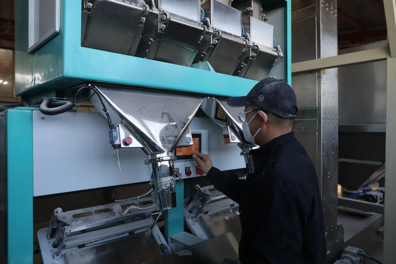 Inside the Green Paws production facility, Qingdao, China.